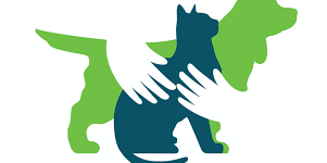 The Animal Fitness Blog